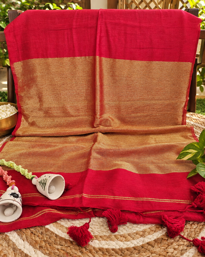 Saanjh Zari